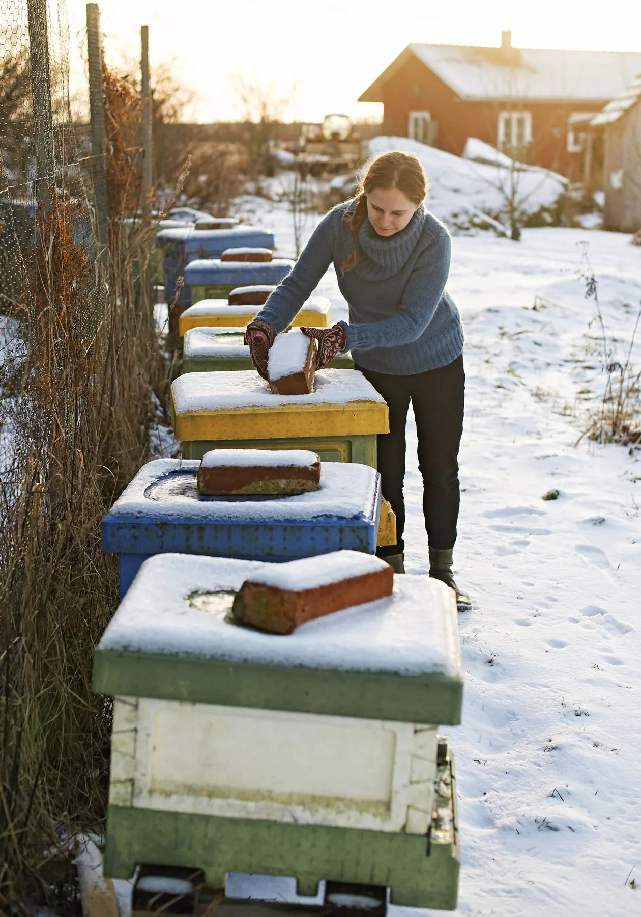Österåkerit tuottavat hunajaa myös myyntiin. Nyt mehiläiset ovat vielä talvihorroksessa.