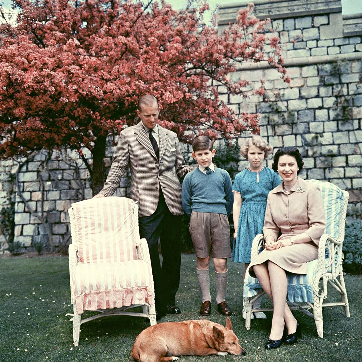 The royal family pictured in the garden of the private apartments at Windsor Castle in spring, 1959. L-R: Prince Philip the Duke of Edinburgh, Prince Charles The Prince Of Wales, Princess Anne The Princess Royal, HM the Queen. 