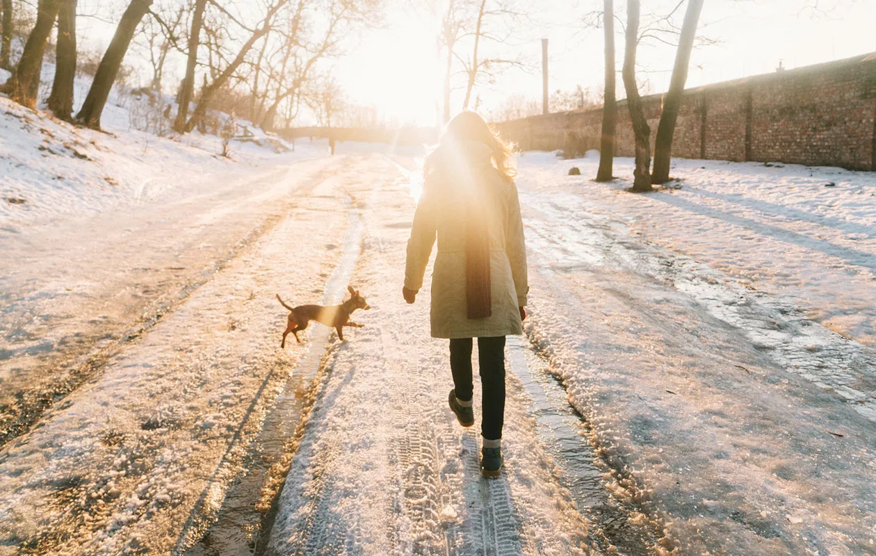 Liikkuminen on yksi parhaita tapoja yrittää päästä eroon stressiä. Kuvassa nainen lenkillä koiran kanssa.