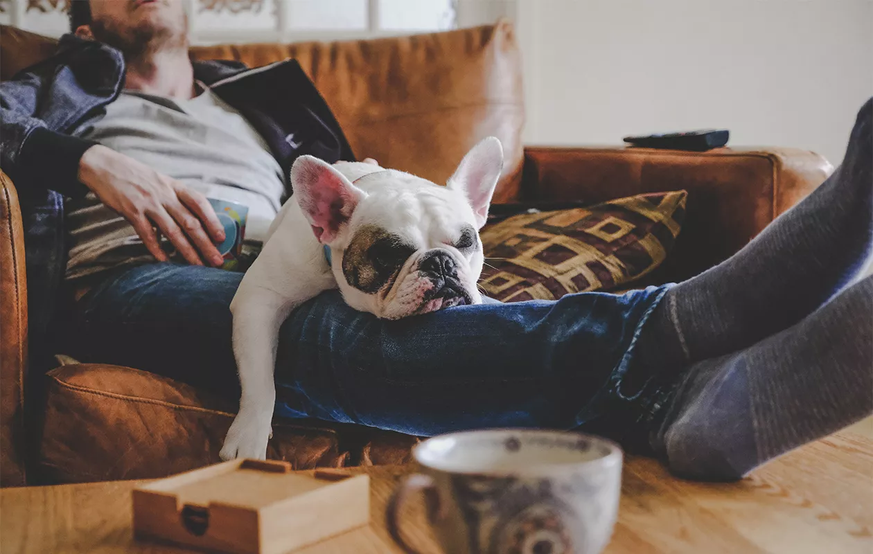 Koira ja mies nukkuvat sohvalla. Yhteinen löhöilyaika esimerkiksi sohvalla on tärkeää. 