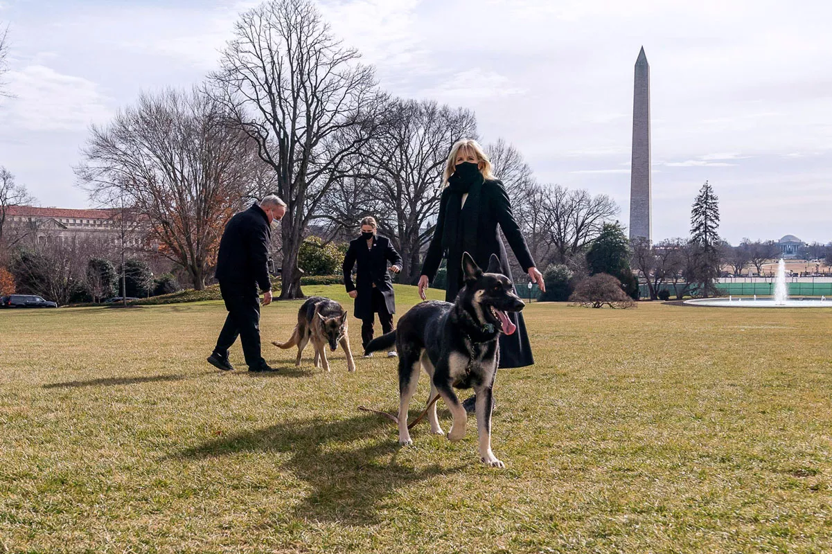 Joe ja Jill Bidenin koirat Champ ja Major muuttivat Valkoiseen taloon tammikuussa. Donald Trump oli ensimmäinen presidentti sataan vuoteen, jolla ei ollut koiraa Valkoisessa talossa. 