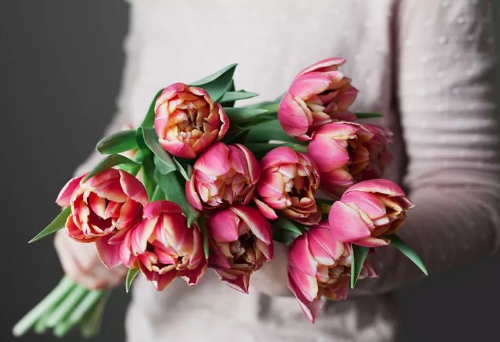 Tulppaanien hoito onnistuu, kun muistaa, että kukat tykkäävät viileästä. Kuvassa henkilö pitelee tulppaanikimppua. 