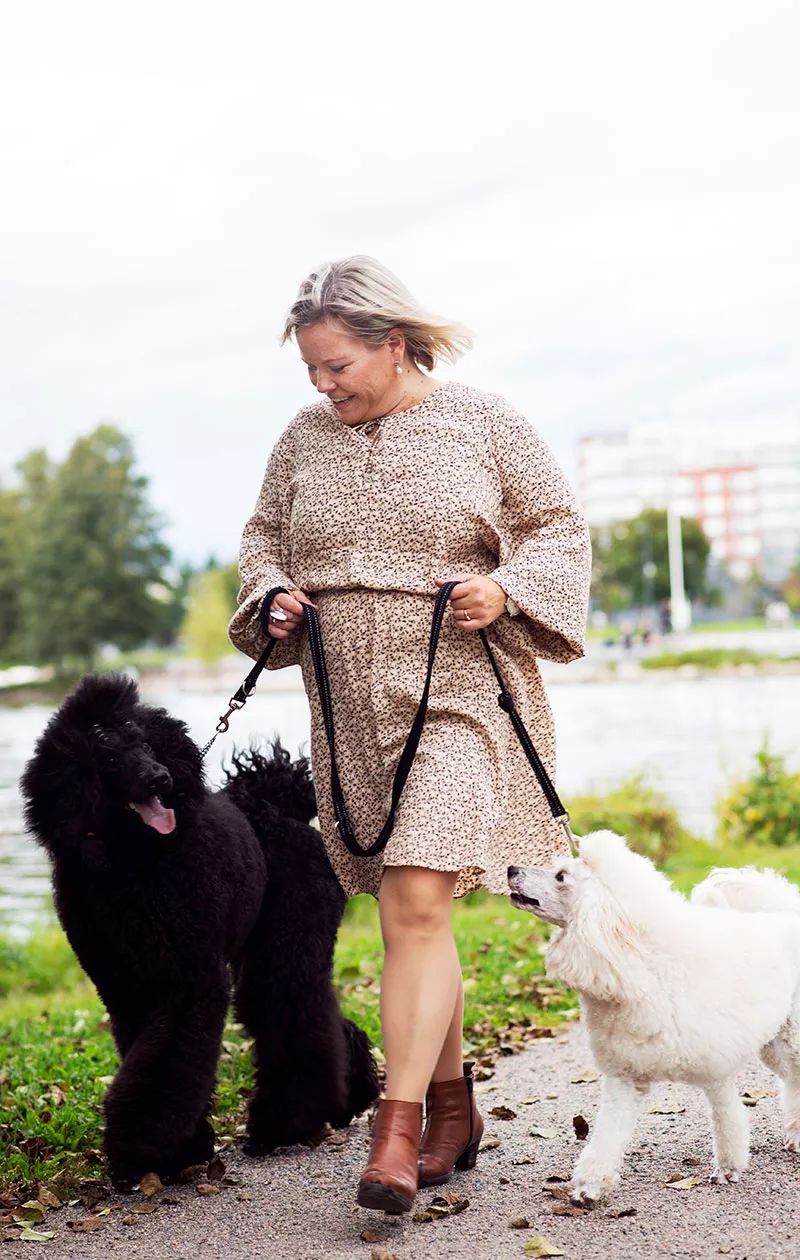 Lenkit Helga- ja Dora-koirien kanssa pitävät Sari Sillanmäki-Kuokkasen aktiivisena ympäri vuoden.
