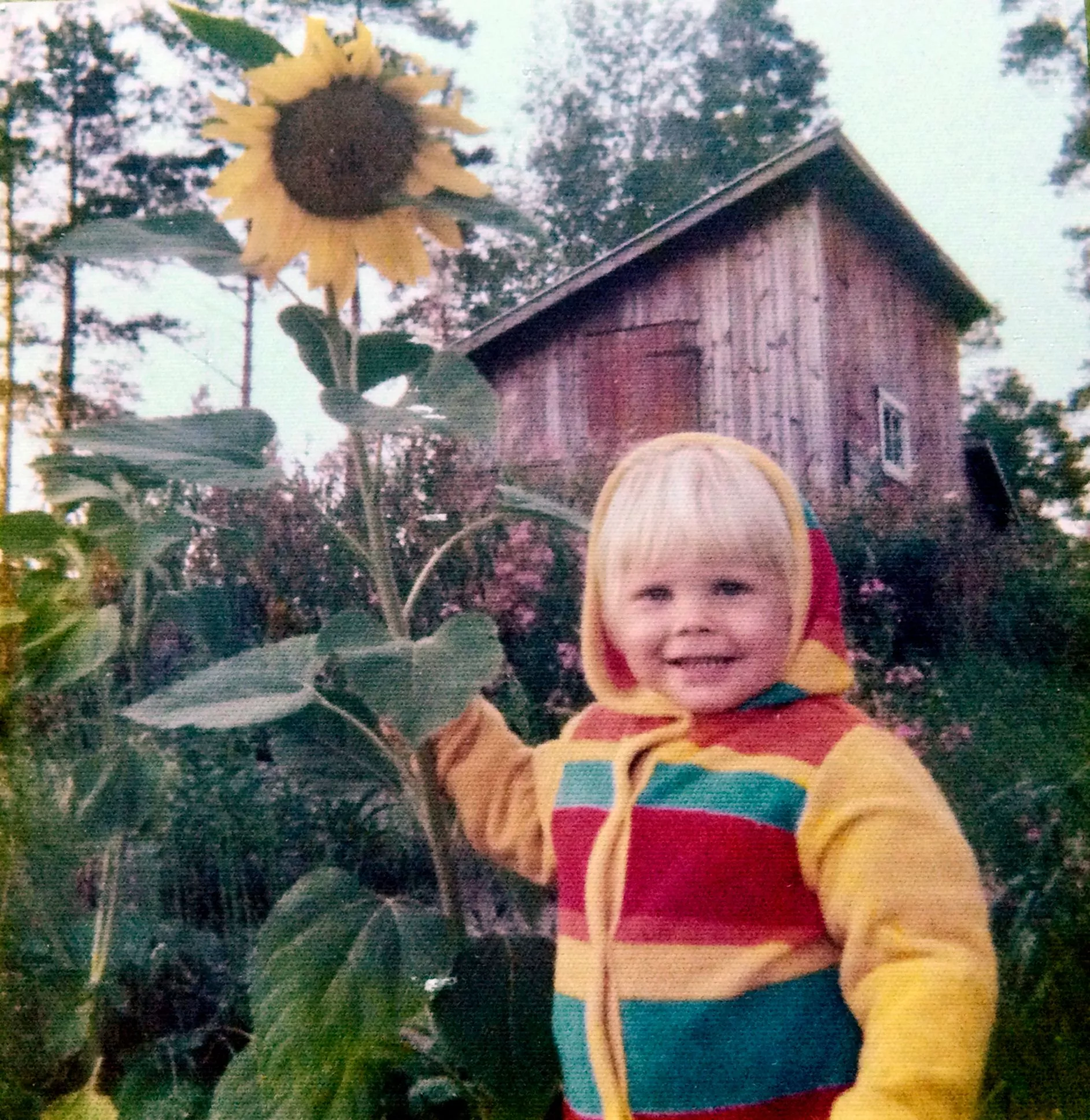 Heli Laaksonen koki jo lapsena olevansa yhtä luonnon kanssa. Nykyään auringonkukka symboloi hänelle surua. 