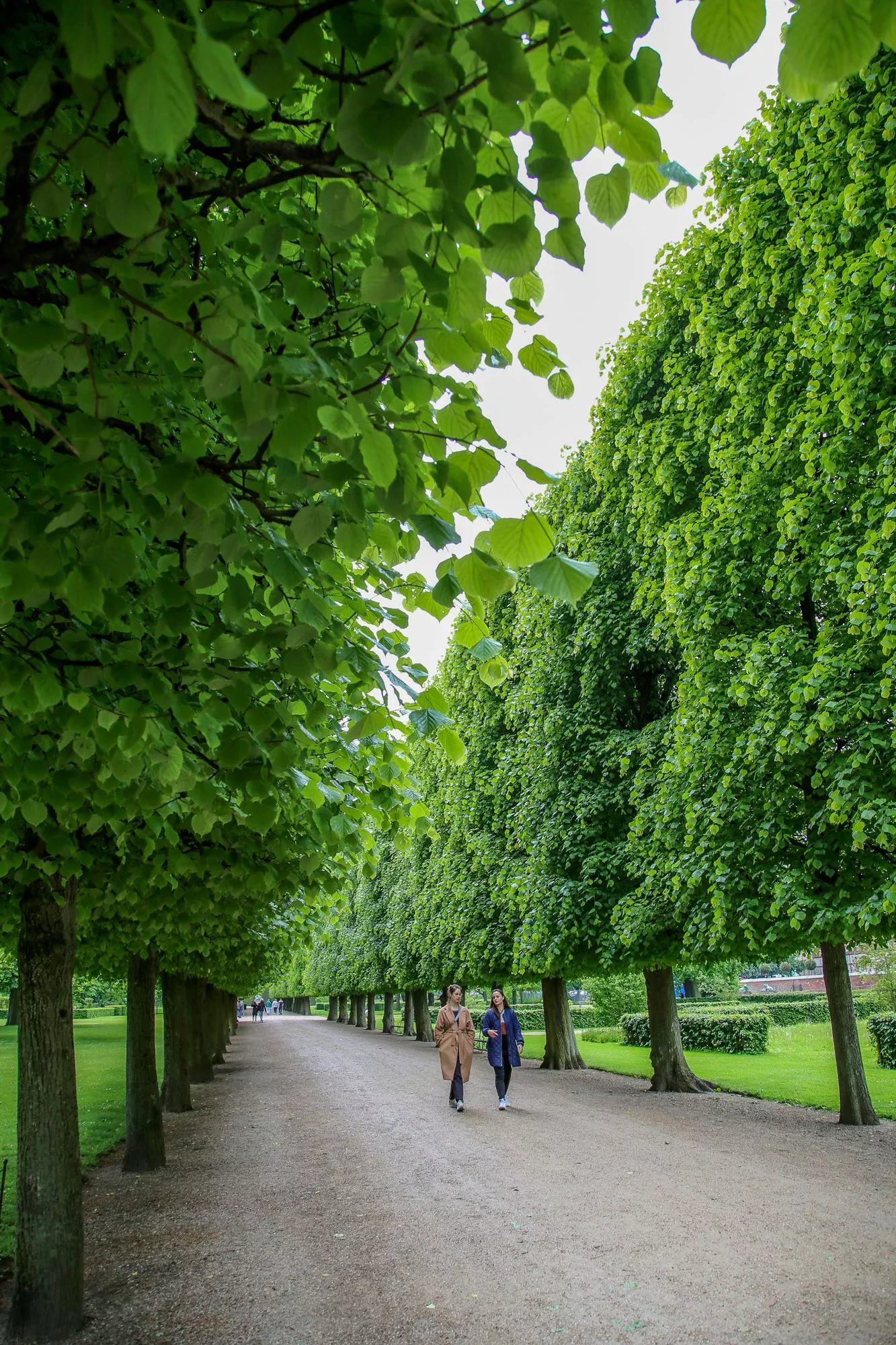 Maksuttomat puistot kutsuvat piknikille ja kävelylle. Puukuja on Rosenborgin Kuninkaallisen puutarhan katseenvangitsija.
