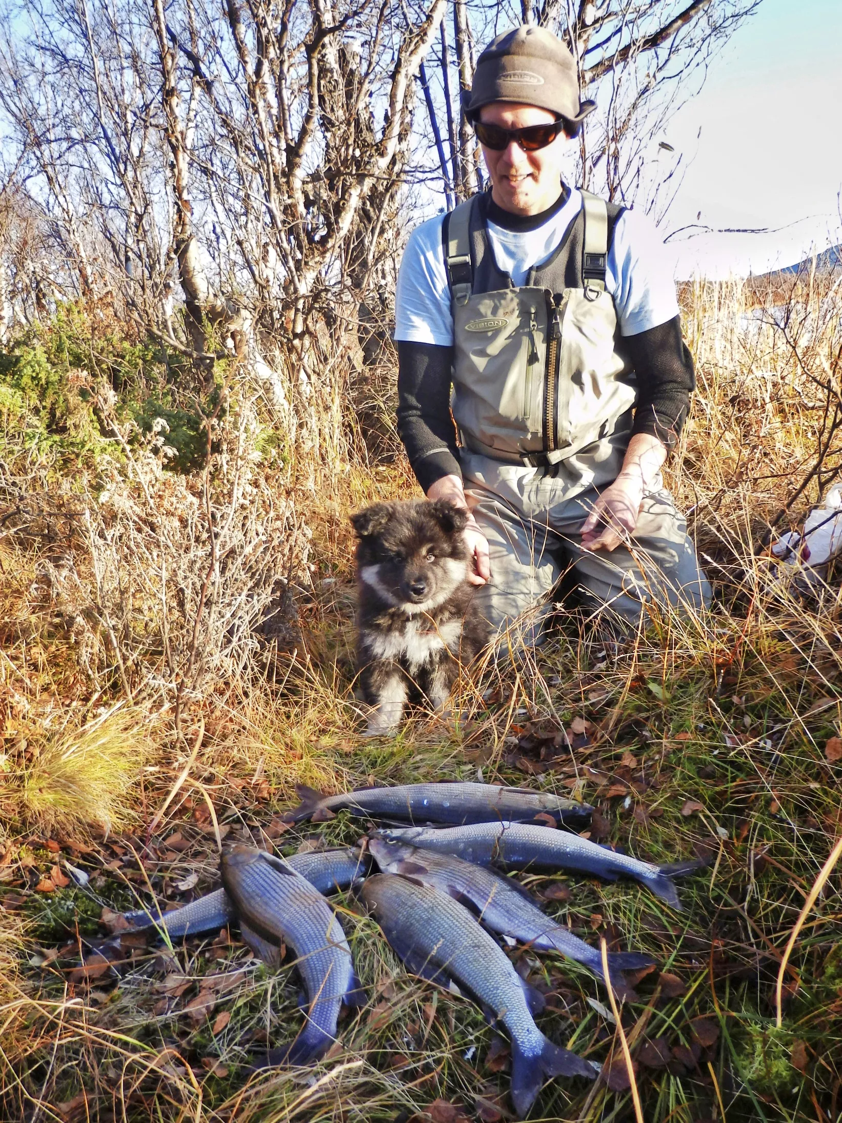 Äijä-koira oli juuri muuttanut Aki Huhtasen luo Kilpisjärvelle, kun se pääsi ensimmäiselle kalareissulleen.