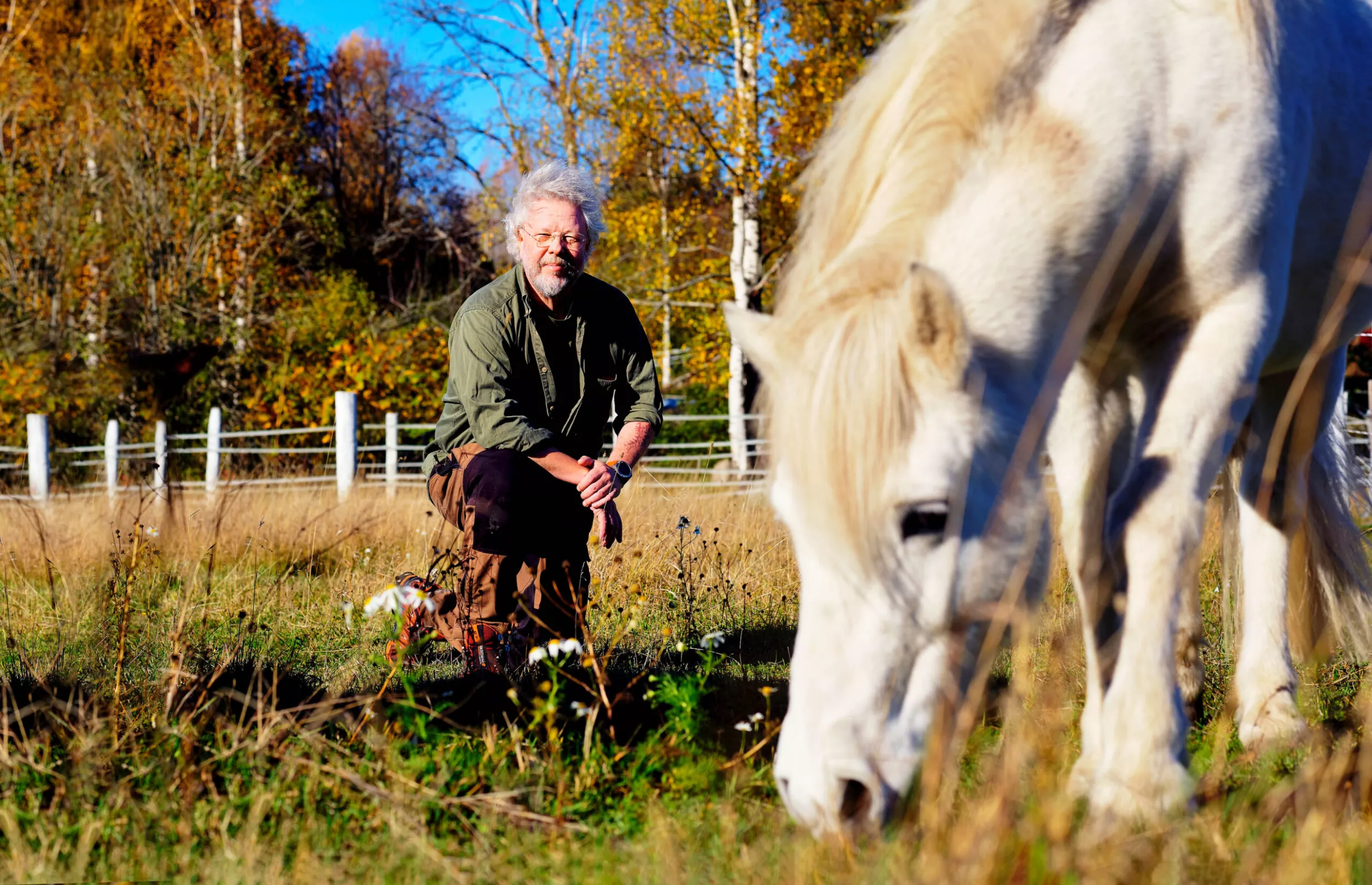 Ekopsykologia. Harri Virtanen ja hevonen.
