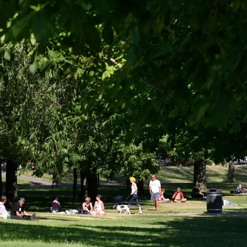 Kaupunginteatterin viereinen puisto on nimetty Tarja Halosen puistoksi.