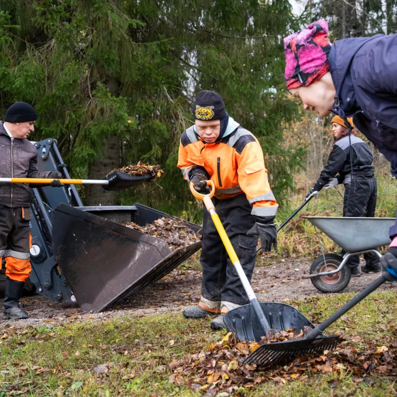 Iisa Berghäll (edessä), Samuel Larimo ja Jari-Pekka Lasila haravoivat pihaa. Taustalla turkkilainen vapaaehtoinen Münire Haspolat.