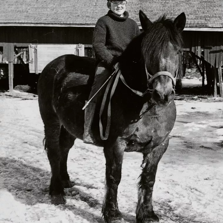 – Kuvassa oleva Irja-hevonen ei ollut ratsu vaan ajohevonen. Istuin usein sen selässä hakiessamme heiniä pellolta, entinen kouluratsastaja Kyra Kyrklund muistelee.