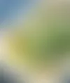 kalkkuna-parsakaalimunakas