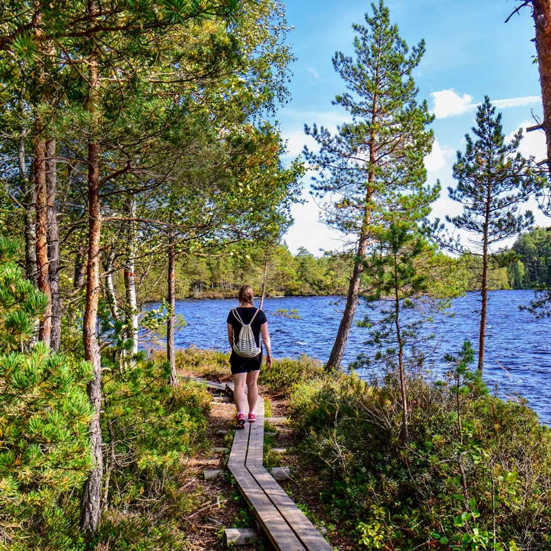 Luontokohde Suomessa x 8 – katso parhaat vinkit! 
