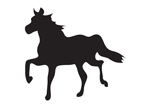 Kiinalainen horoskooppi 2015: Hevonen