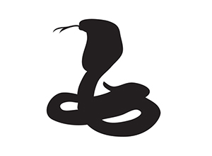 Kiinalainen horoskooppi 2015: Käärme