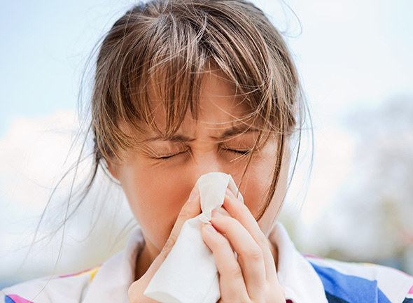 Hoida allergia ajoissa: siitepölykausi tekee jo tuloaan